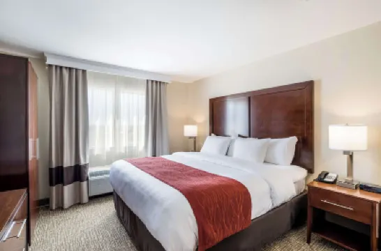 كمفرت إن بونر سبرينجز كانساس سيتي فنادق في 