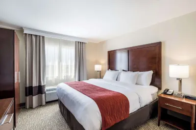 Comfort Inn Bonner Springs Kansas City
