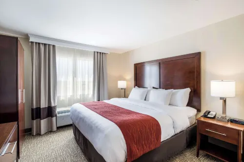 Comfort Inn Bonner Springs Kansas City Hotels in De Soto