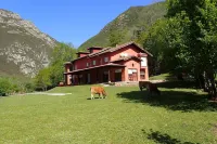 Albergue Los Avellanos - Hostel - Hostels