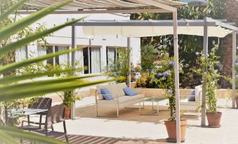 Apartamentos Sureda