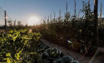 Agriturismo la Torricella