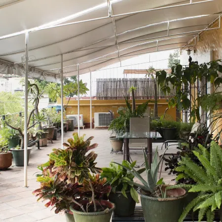 Hotel Boutique Casa Catrina