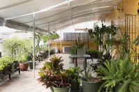 Hotel Boutique Casa Catrina