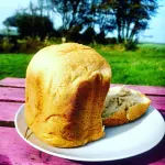 Secluded Converted Horsebox Retreat in Welcombe Hotel di Bude