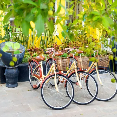 Sam Retreat Hoi An Villa - Peaceful Rice-Field Retreat, 10 Minutes to Hoi An Old Town