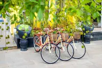Sam Retreat Hoi An Villa - Peaceful Rice-Field Retreat, 10 Minutes to Hoi An Old Town - Mountain View