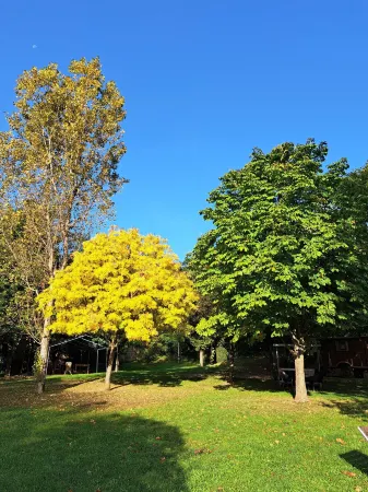 Nomad Hotel & Glamping Отели в г. Saly