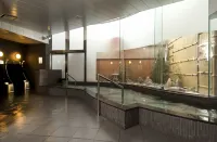 Niigata Daiichi Hotel - spa