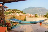 時尚閣樓帶屋頂花園和全景視野