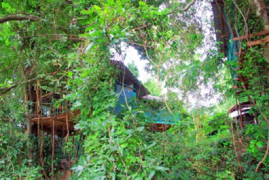 亞拉河邊小屋酒店