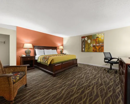 Super 8 by Wyndham New Orleans Hotels near Rome Park