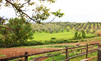 Agriturismo fattoria la goccia