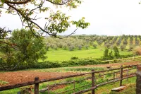 Agriturismo fattoria la goccia Hotels in Ficulle