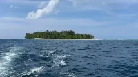 Dany Island فنادق في Dany Island