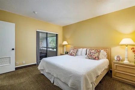 Innisbrook Resort - Large 825 sq ft 1 Bedroom Condo with Beautiful Fairway Views