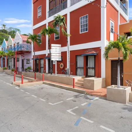 The Ritz Village
