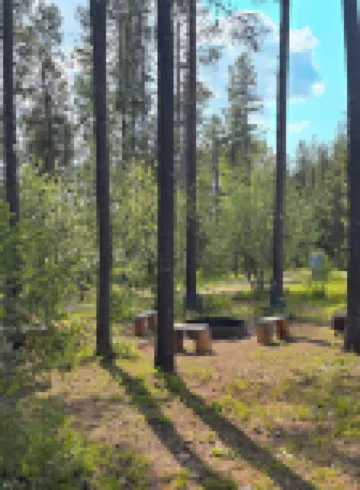 Eagle's Nest: a cozy cabin beneath the pines at Glacier Lodge Cabins