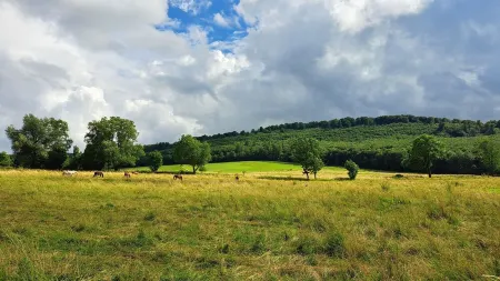 Welcome to the "FUCHSREVIER" Отели в г. Эркероде