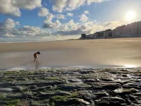 Cozy apartment on the seawall in Westende - 비치