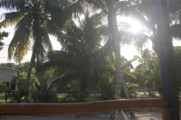 Gumbo Limbo Art Cabana - Stunning Peaceful Cabana, Steps From Ocean, Free Bikes