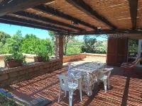 Villa "La Lecceta" surrounded by a private forest and sea view with sunset