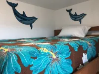 Cargo Container HomeOnTheLava~ Ocean & Volcano View Sleeps 4 ~ Julie’s Sunrise Hotels near Mauna Loa Lookout