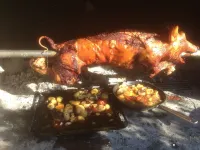 , Directly by the Sea, - Beautiful, New Design House Hotels in Vir