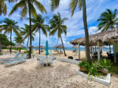 Ocean Front Blue Water Paradise