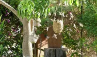 Swimming pool villa in secure residence with dream beach! 150 m from shops