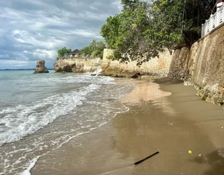 Oceanfront Luxury Villa: Private Beach & Staff Отели рядом с достопримечательностью «Treasure Beach»