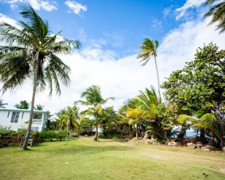 Casa Del Mar Beachfront House on quiet beach, surf out front, tidepools for kids Hotels in Aguada