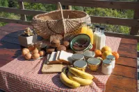 AfriCamps at Ingwe Hotels in South Cape DC