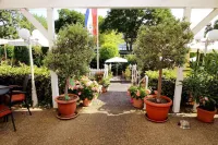 Park-Hotel - Parkplatz
