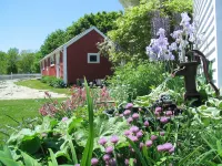 Bittersweet Bed and Breakfast - Desayuno