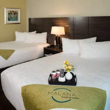 Malana Hotels & Suites