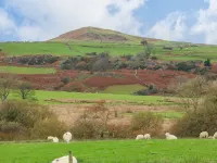 Cefn-Yr-Efail