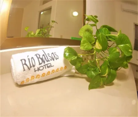 Hotel Rio Balsas Отели рядом с достопримечательностью «Плайя Мирамар»