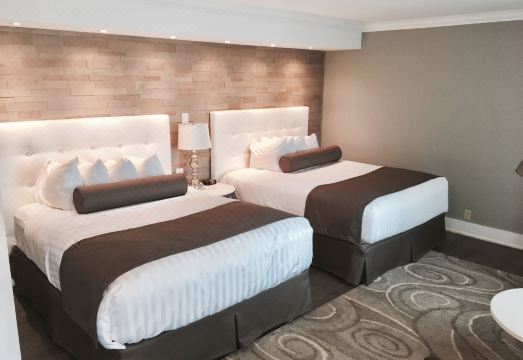 4. 윌로우 밴드 모..