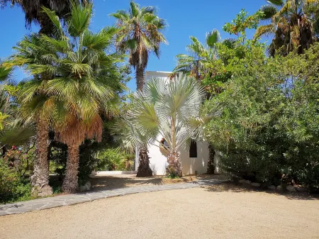 Hacienda Todos Los Santos Отели в г. Тодос-Сантос