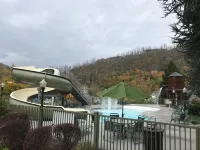 The Appy Lodge - Rooftop Pools