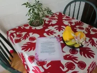 Dolphin Bay Hotel Hotels in Hilo