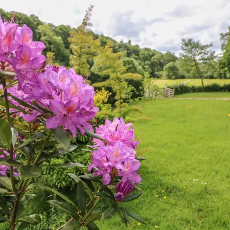 Spens Farm Cottage