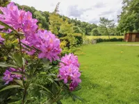 Spens Farm Cottage