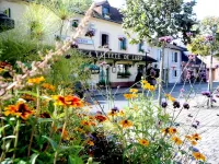 Logis Auberge À la Tête de Lard Hotels in Nouan-le-Fuzelier