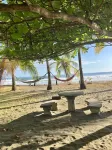 Experience the jungle of Costa Rica!! Direct oceanfront property for 8 guests.