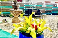 Work & Family Retreat: 4BR w/ Heated Pool, Fast Wi-Fi, Near Airport, Hard Rock