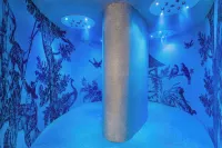 Dolce by Wyndham Versailles - Domaine du Montcel - Spa
