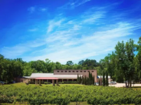 Blue Jay Cottage - Pittsburg Studio on Winery! Hotels in Camp County