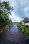 Cedro Amazon Lodge - Wifi